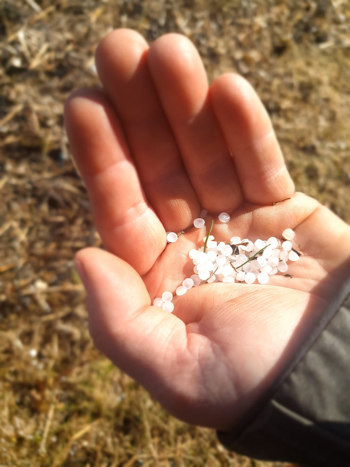 In April 2025, the Council and European Parliament reached provisional agreement on a Regulation to prevent plastic pellet losses across the supply chain (©Tomas Eriksson) In April 2025, the Council and European Parliament reached provisional agreement on a Regulation to prevent plastic pellet losses across the supply chain (©Tomas Eriksson)