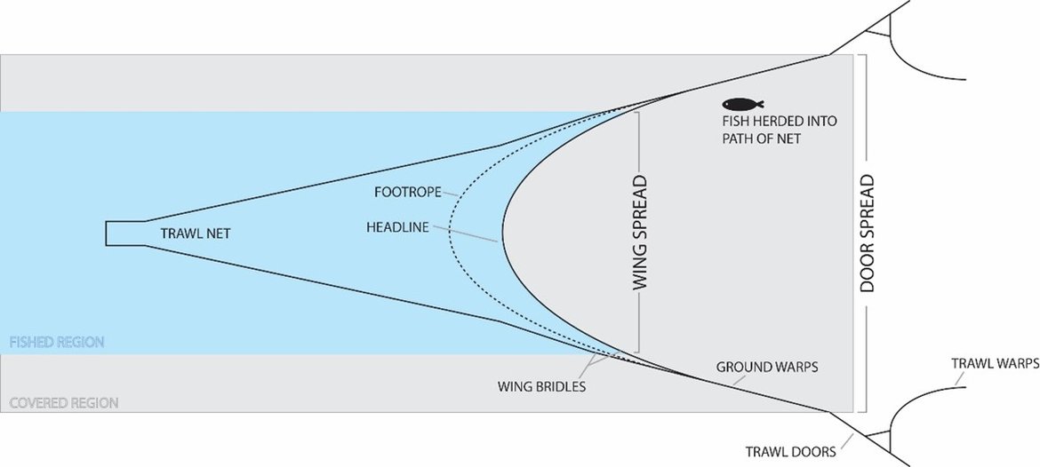 Figure a: Benthic trawl diagram - The active region of an otter (GOV) benthic trawl net, from Carrothers (1980)