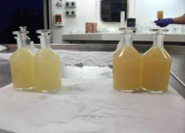 Concentrations of Dissolved Oxygen Near the Seafloor