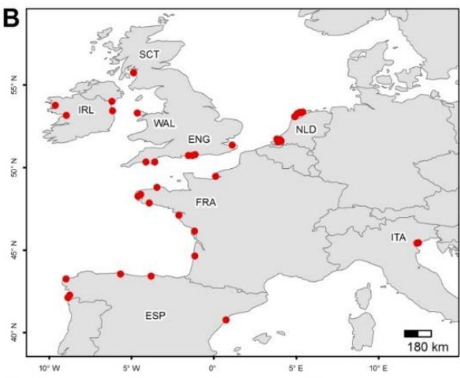 Figure 23: Map showing invasive geographic range of Didemnum vexillum in Europe; Source: McKenzie, et al. 2017