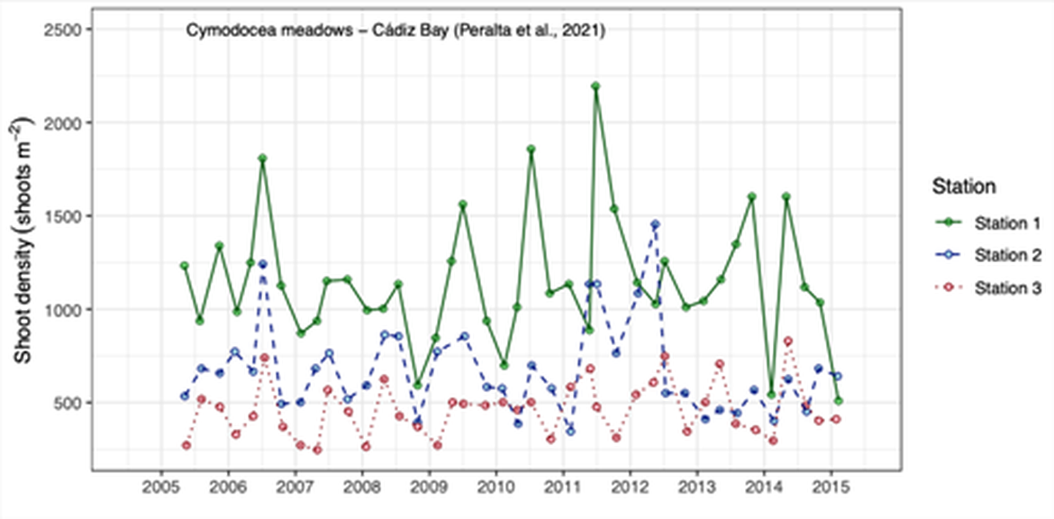 Figure 2: Condition trend of Cymodocea meadows in three monitoring stations in Santibáñez, Bay of Cadiz (Spain), based on seasonal measurements of shoot density. Adapted from Peralta et al. (2021).