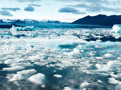 Quality Status Reports