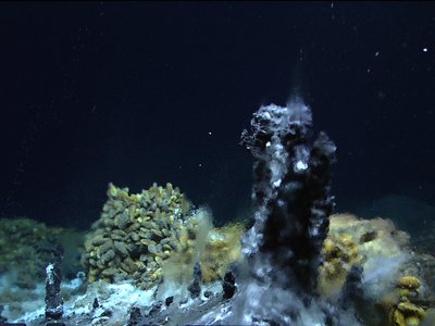 Dorsales océaniques comportant des sources/champs de sources hydrothermales