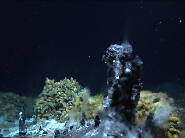 Oceanic Ridges with hydrothermal vents