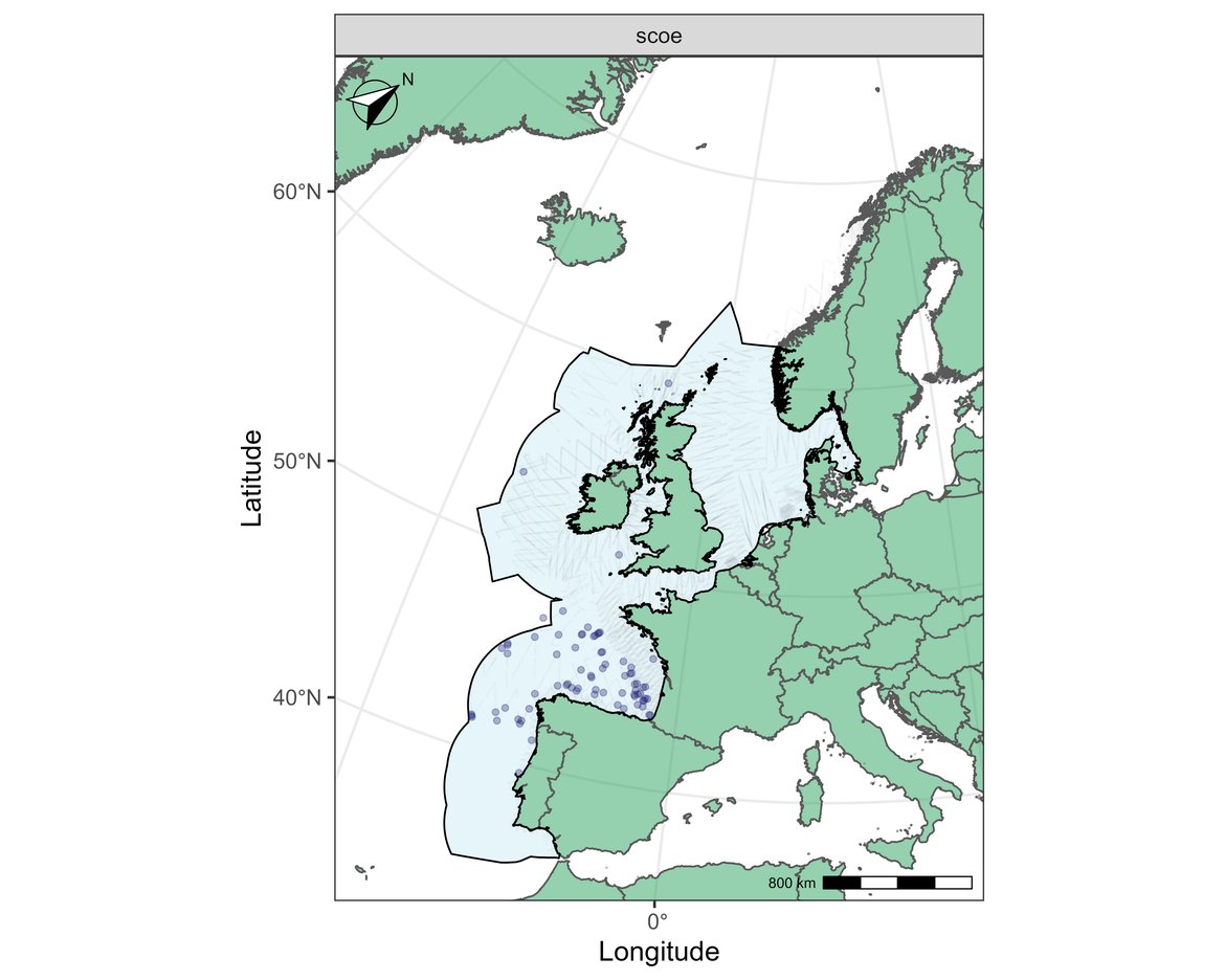Figure p: Sightings of striped dolphin in 2016.