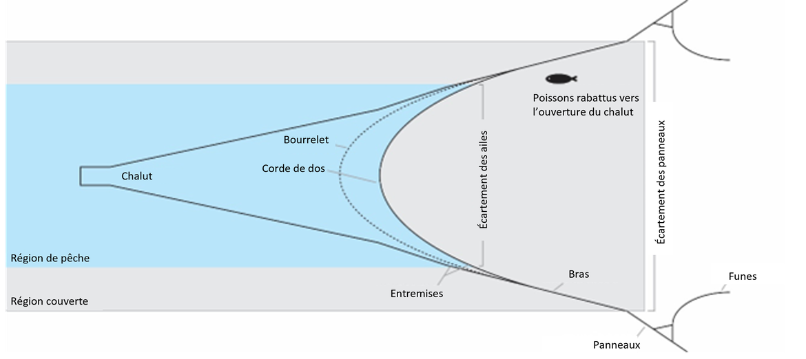 Figure a : Schémas d'un chalut benthique : La partie active d’un chalut benthique à panneaux (GOV) (Carrothers (1980))