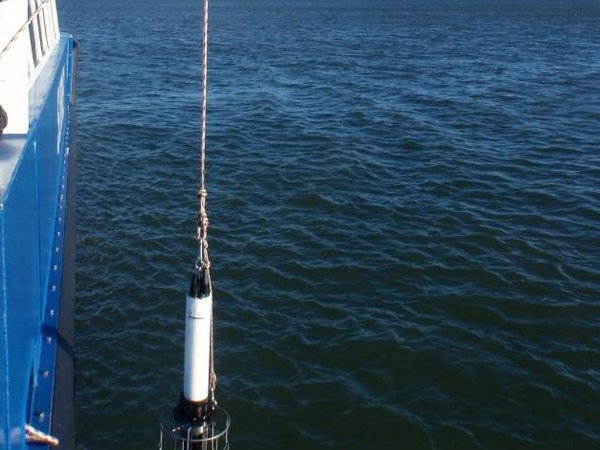 Concentrations of Dissolved Oxygen Near the Seafloor